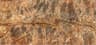 Rainforest Brown slab