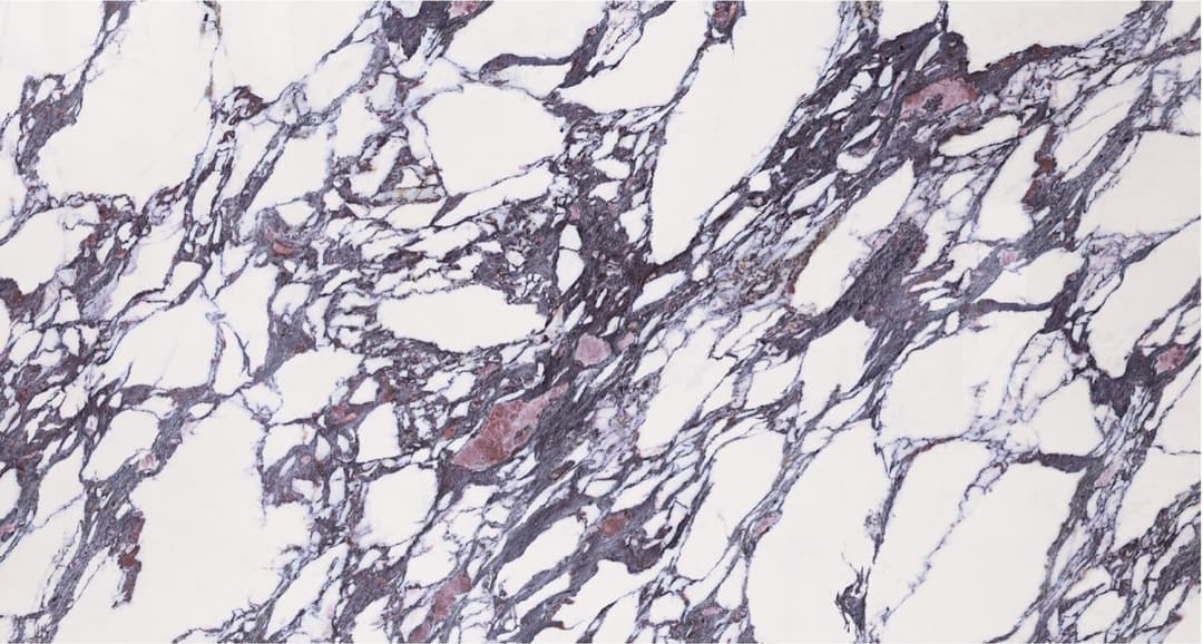 Asia Calacatta Viola marble slab