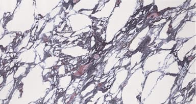 Asia Calacatta Viola slab